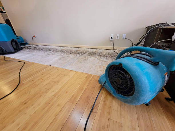 Professional Burst Pipe Water Damage technician working in Midway, KY