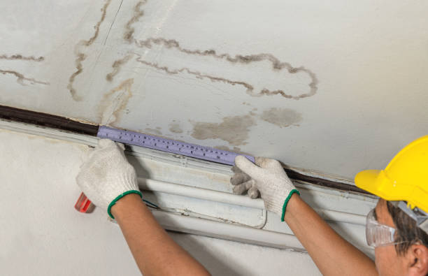 Affordable Burst Pipe Water Damage solutions in Midway, KY